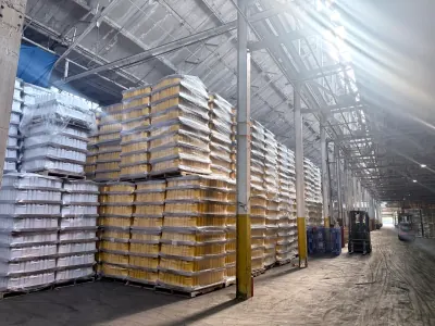 Pallets of packaged containers stacked high under the plant windows